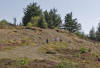 Click for Big Pic